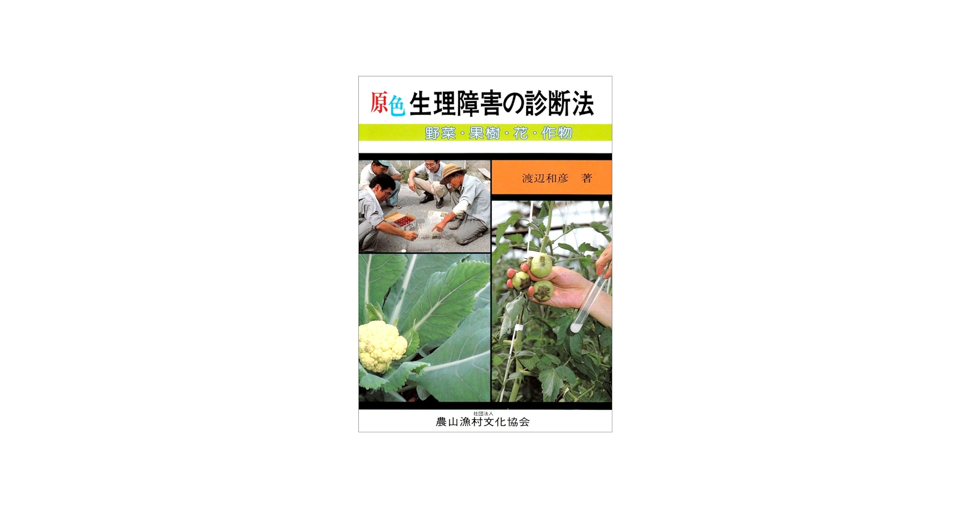 原色 生理障害の診断法―野菜・果樹・花・作物 | 和彦, 渡辺 |本 | 通販