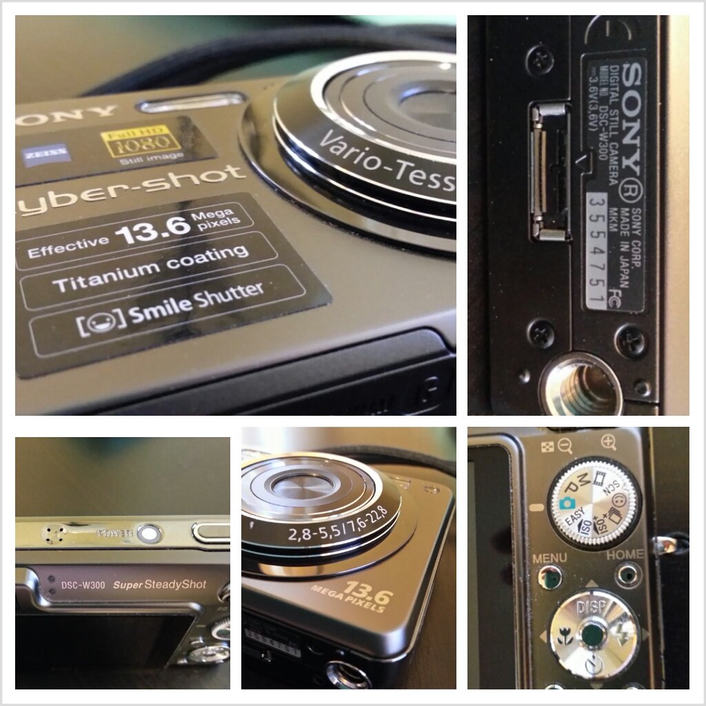 Amazon.com : Sony Cybershot DSCW300 13.6MP Digital Camera with 3x