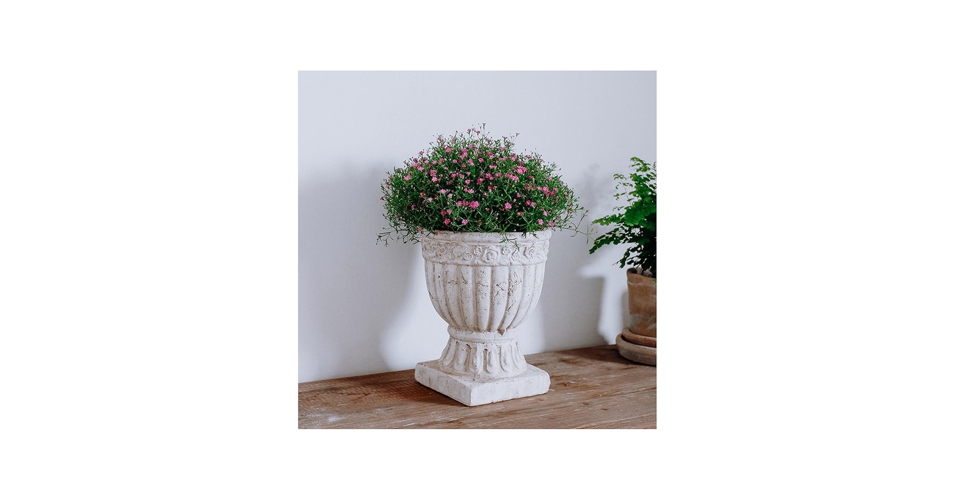 Amazon.co.jp: プランター アンティーク調 大型 おしゃれ 装飾用