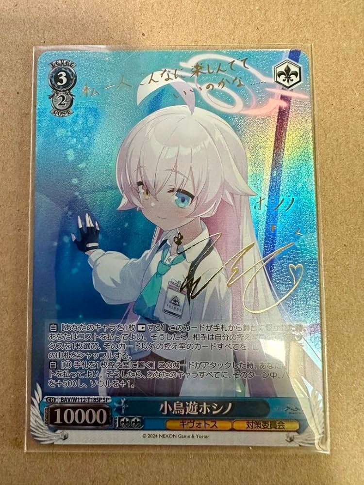 BGS10】ヴァイスブルーアーカイブ小鳥遊ホシノサインsp