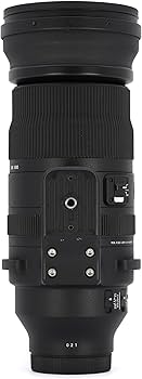 Amazon.com: Sigma 150-600mm F5/-6.3 DG DN for L Mount : Sports