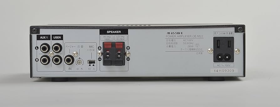 Amazon.co.jp: MASSIVE マッシブ モノラルアンプ(ロー・インピーダンス