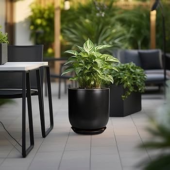 Amazon.com : SUNPOTFOR Ceramic Planter Pot - 12 Inch Large Plant