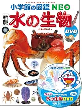 新版]水の生物 DVDつき (小学館の図鑑 NEO) | 白山 義久, 窪寺 恒己