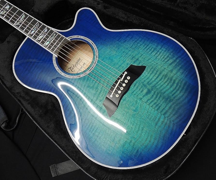 Amazon | Takamine FPT181AC SBB タカミネ アコースティックギター