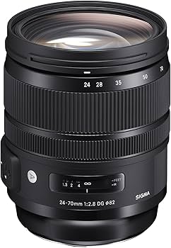 Amazon.com : Sigma 24-70mm f/2.8 DG OS HSM Art Lens for Nikon F