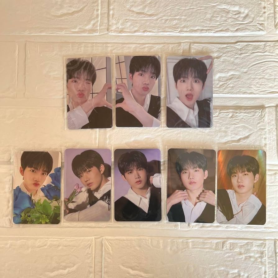 Amazon.co.jp: treasure ナイトガーデン ジュンギュ ラキドロ セット