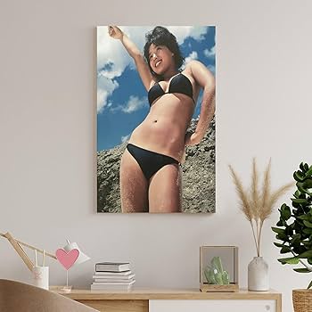 Amazon.co.jp: 井森美幸 女優 若い頃 レトロ 水着3 ポスター
