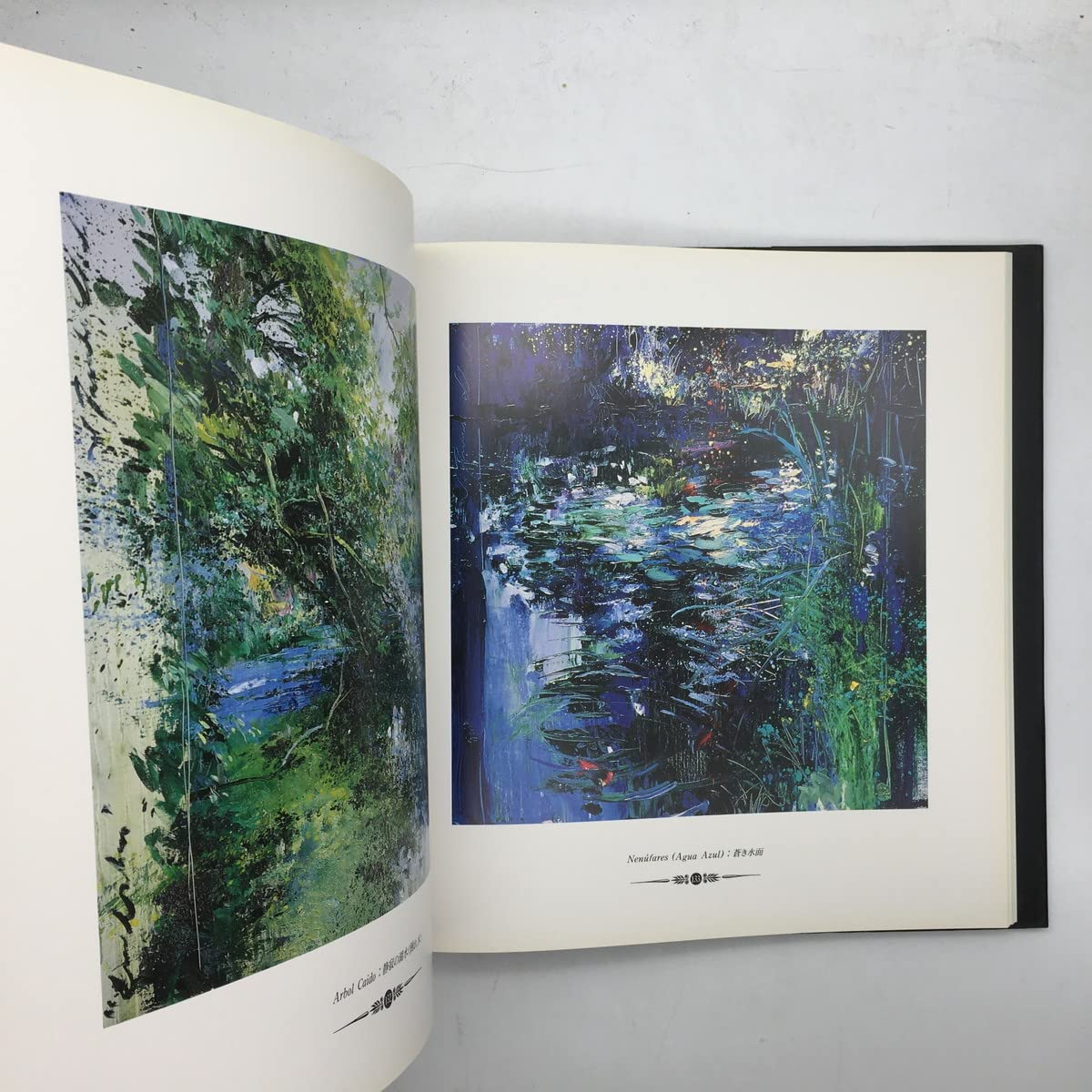 Amazon.co.jp: 画集J.トレンツリャド 「Homage to Joaquin Torrents