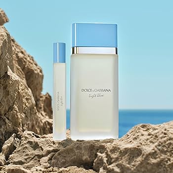 Amazon.com: Dolce&Gabbana New Light Blue, Eau De Toilette Travel