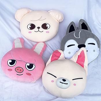 EWINHUIYING 11.8“ Kpop Stray Kids Pillow Case Skzoo Limited Throw