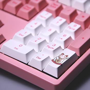 Amazon.com: Akko World Tour Tokyo 108-Key R1 Wired Pink Mechanical
