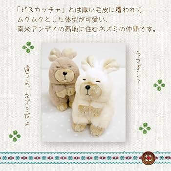 71uz8klgi3L._AC_UF350,