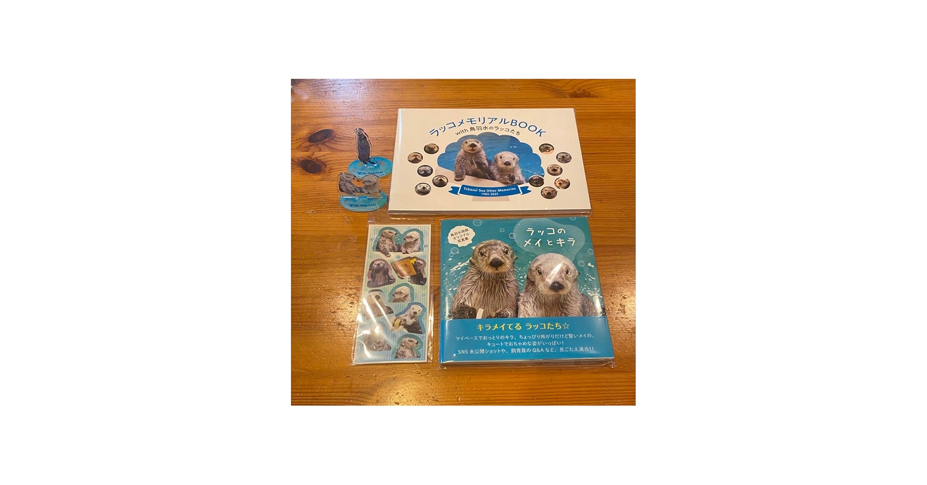 Amazon.co.jp: 鳥羽水族館 ラッコのメイとキラ 写真集 ラッコ