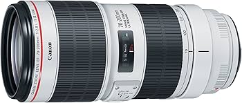 Amazon.com : Canon EF 70-200mm f/2.8L Is III USM Lens for Canon
