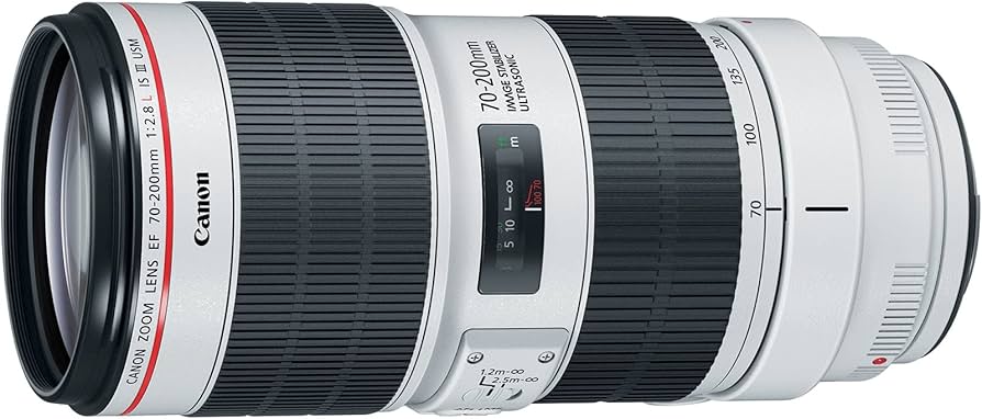 Canon Lente EF 70-200 mm f/2.8L IS III USM para câmeras Canon