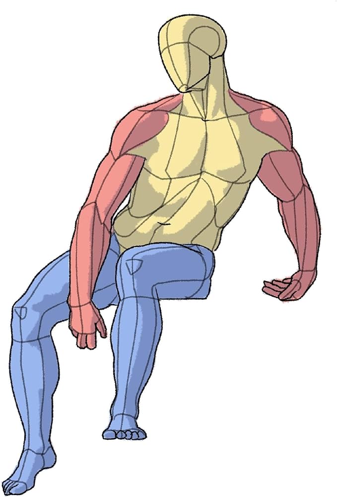 ポーズの美術解剖学 | 加藤公太 |本 | 通販 | Amazon