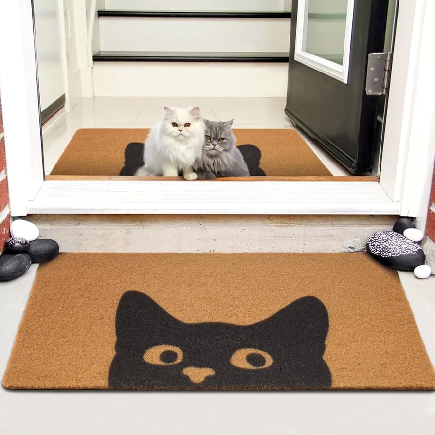 Amazon.com: UINI Door Mat Outdoor Indoor Welcome Mats, Cute Cat