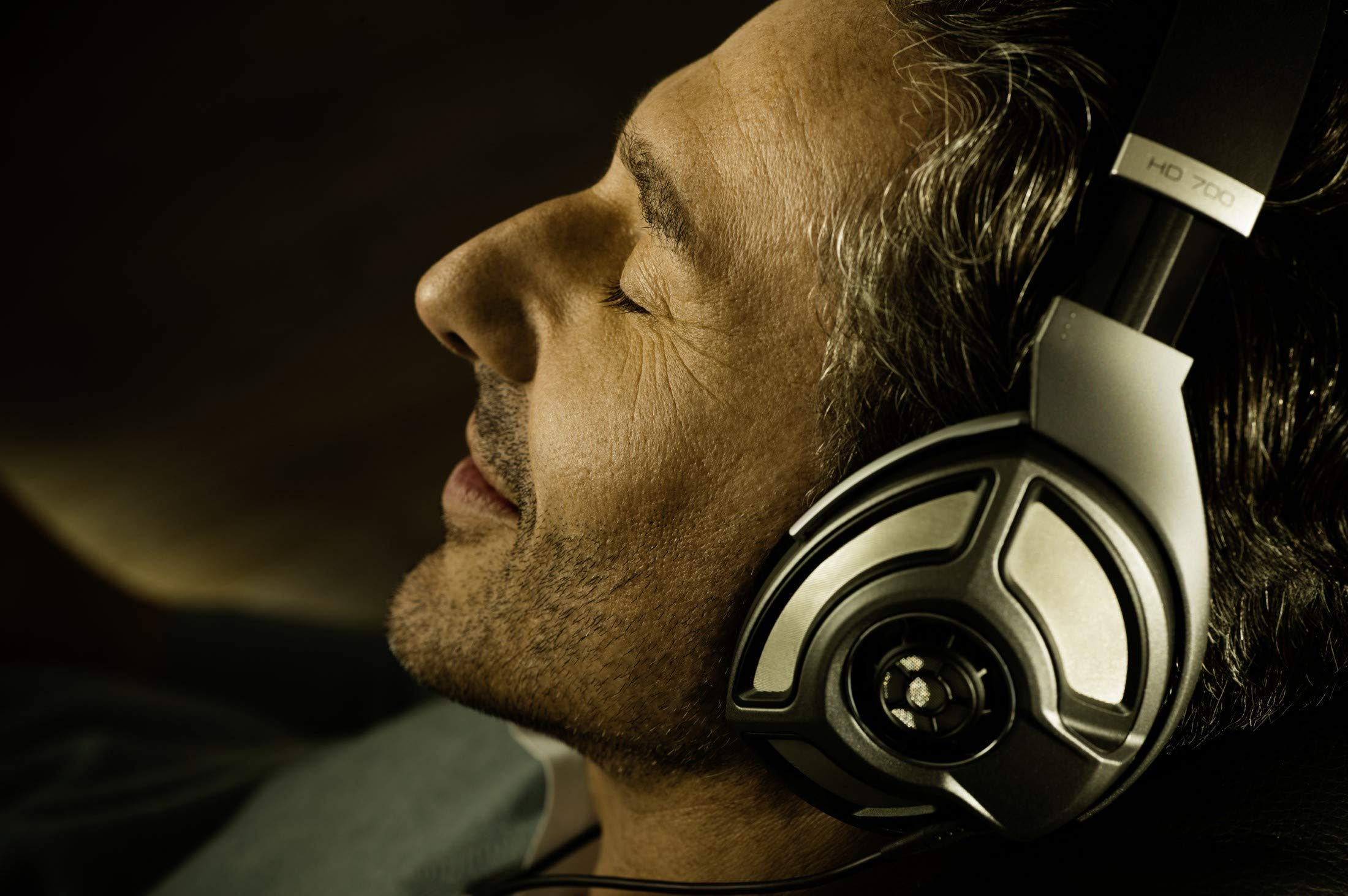 Amazon.co.jp: ゼンハイザー ヘッドホン オープン型 HD 700【国内正規