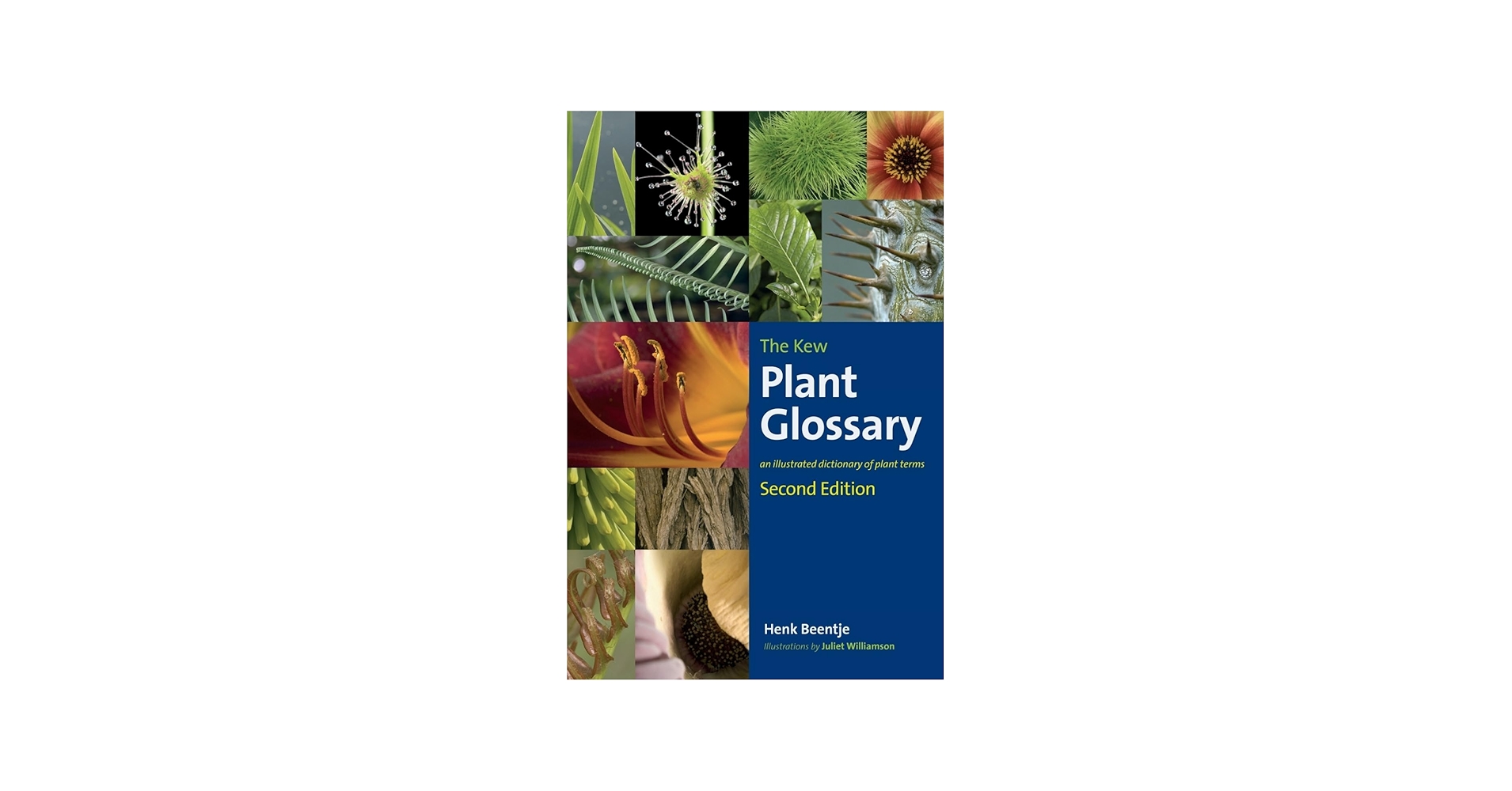 洋書 Plant Bioinformatics カバー表紙破れ 英語 洋書 Plant