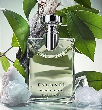 Amazon.com : Bvlgari Pour Homme by Bvlgari for Men - 3.4 oz EDP