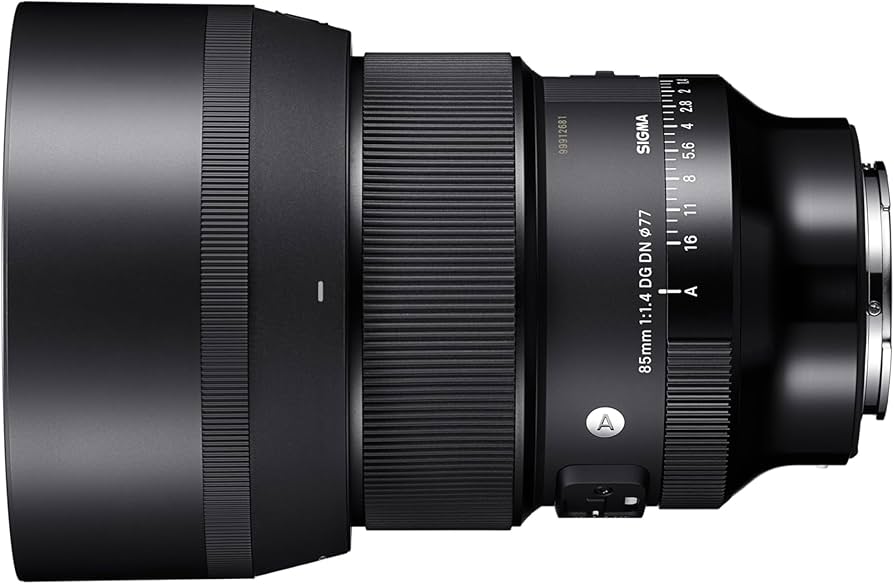 Amazon.com : Sigma 85mm F1.4 DG DN Sony E (322965), Black