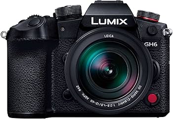 Amazon | パナソニック(Panasonic) ミラーレス一眼カメラ ルミックス