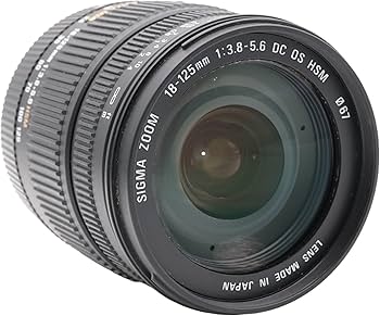 Amazon.co.jp: シグマ 18-125mm F3.8-5.6 DC OS HSM ニコン用 18-125mm