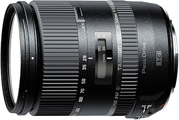 Amazon.com : Tamron 28-300 mm Di VC PZD Lens For Nikon DSLR