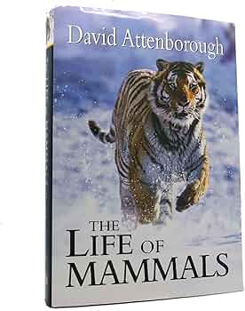 71wUDw7djnL._AC_UF350,