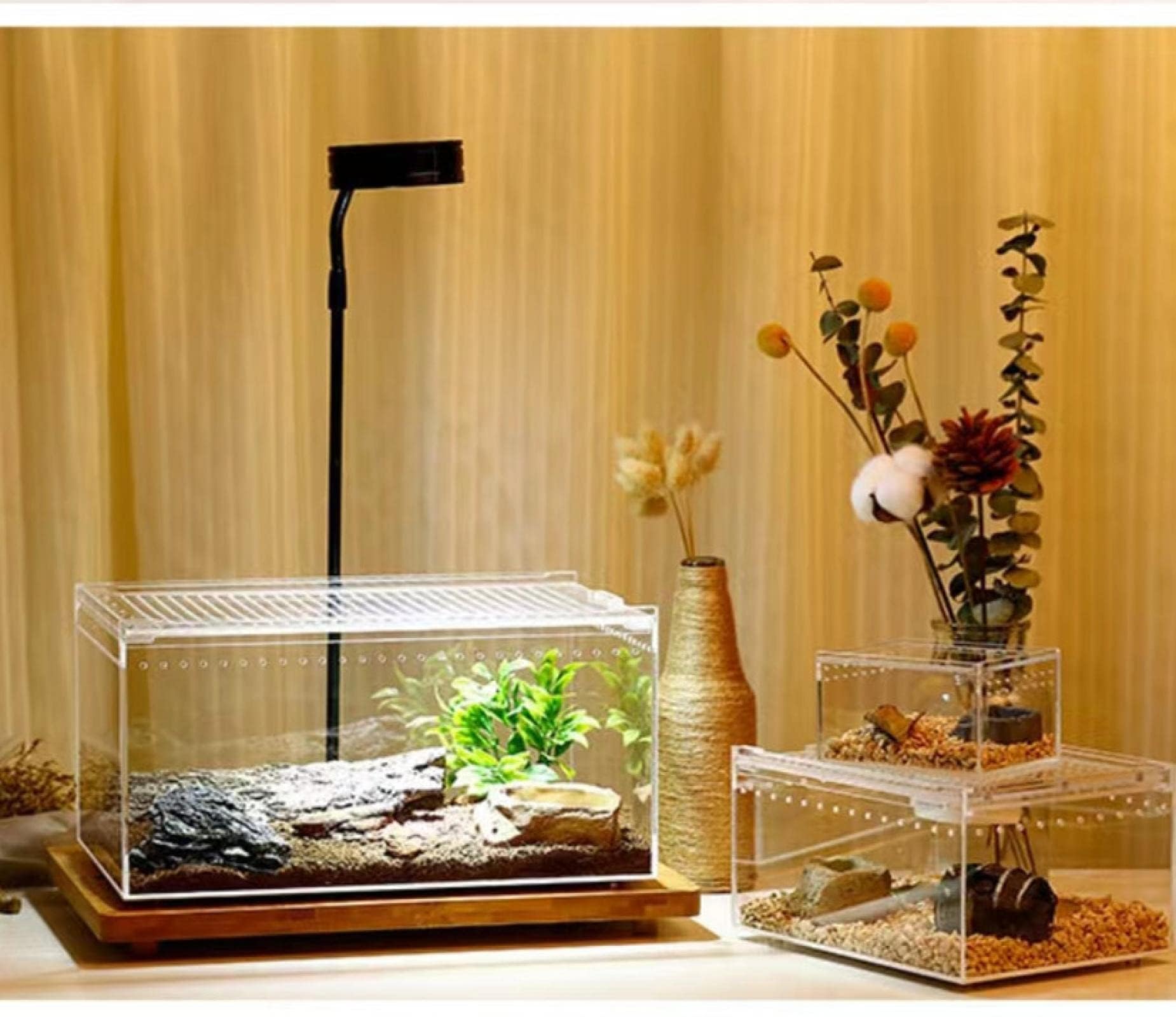 Amazon | レプタイルボックス 爬虫類 飼育ケース レプタイルボックス