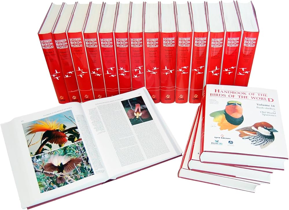 71wkBgrb5OL._AC_UF1000,