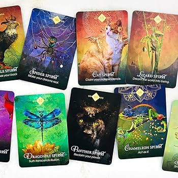 71wyYLKK99L._AC_UF350,