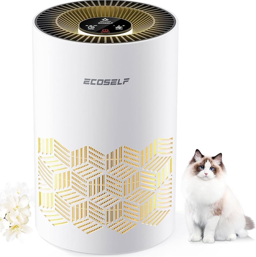 Amazon.co.jp: ECOSELF 空気清浄機 小型 【2025新モデル Hepa