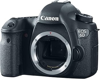 Amazon.com : Canon EOS 6D 20.1 MP CMOS Digital SLR Camera with 3.0