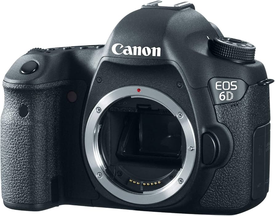 Amazon.com : Canon EOS 6D 20.1 MP CMOS Digital SLR Camera with 3.0