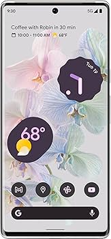 Amazon.com: Google Pixel 6 Pro 5G, US Version, 128GB, Cloudy White