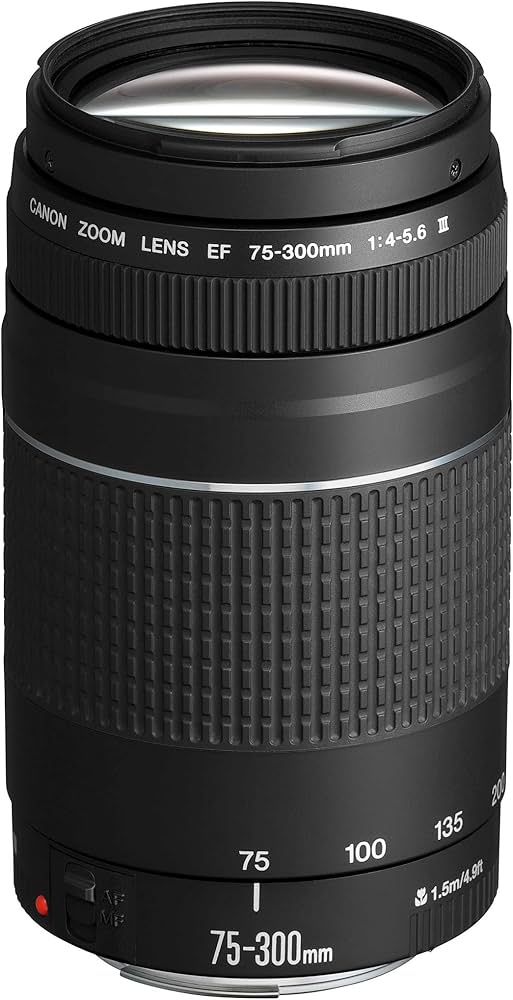 Canon Eos Ef 75-300Mm F/4-5.6 Ii Telephoto Zoom Lens For Dslr