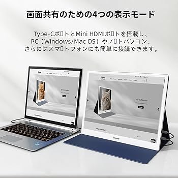 Amazon.co.jp: Bigme B13 カラーエーパーモニター 13.3インチ、タイプC