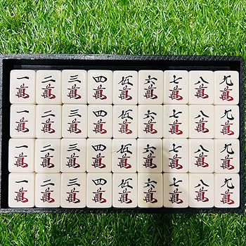 Amazon | 極 ミズノ丸一 高級 麻雀牌 背黒 サンピン 赤ドラ マージャン