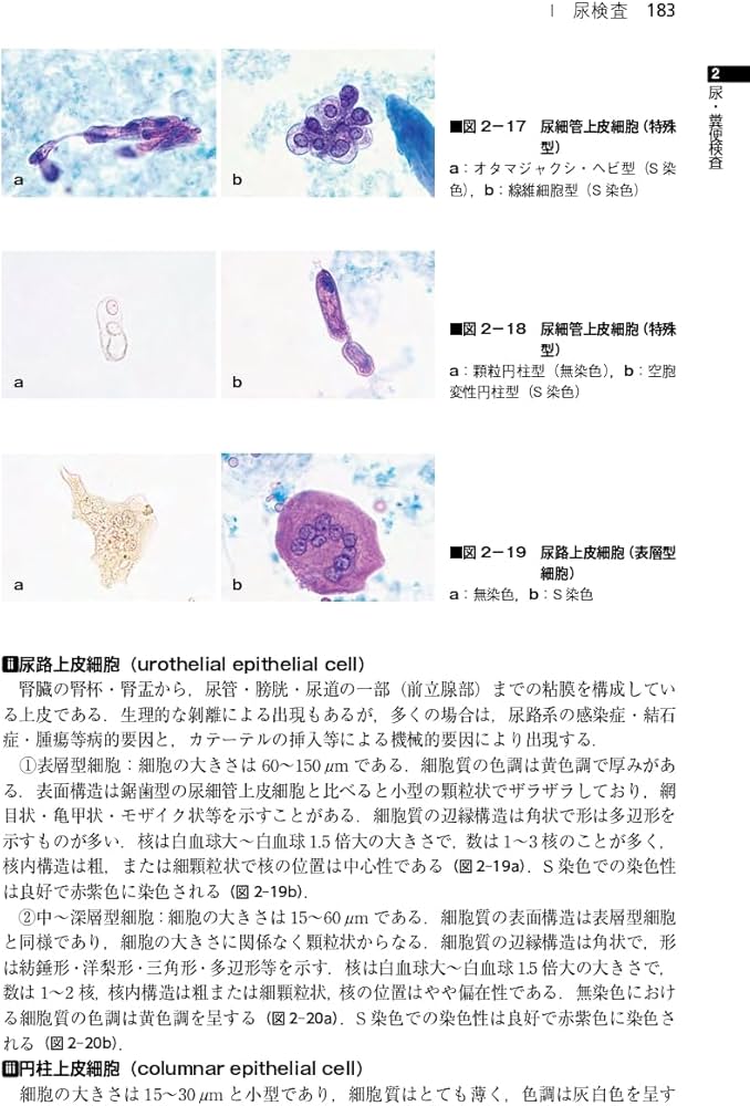 臨床検査法提要 改訂第36版 | 奥村 伸生, 本田 孝行, 矢冨 裕, 山内 一