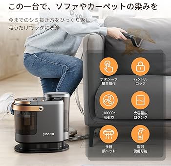 Amazon.co.jp: 【公式ストア+2年延長保証】Yadea R3 カーペット