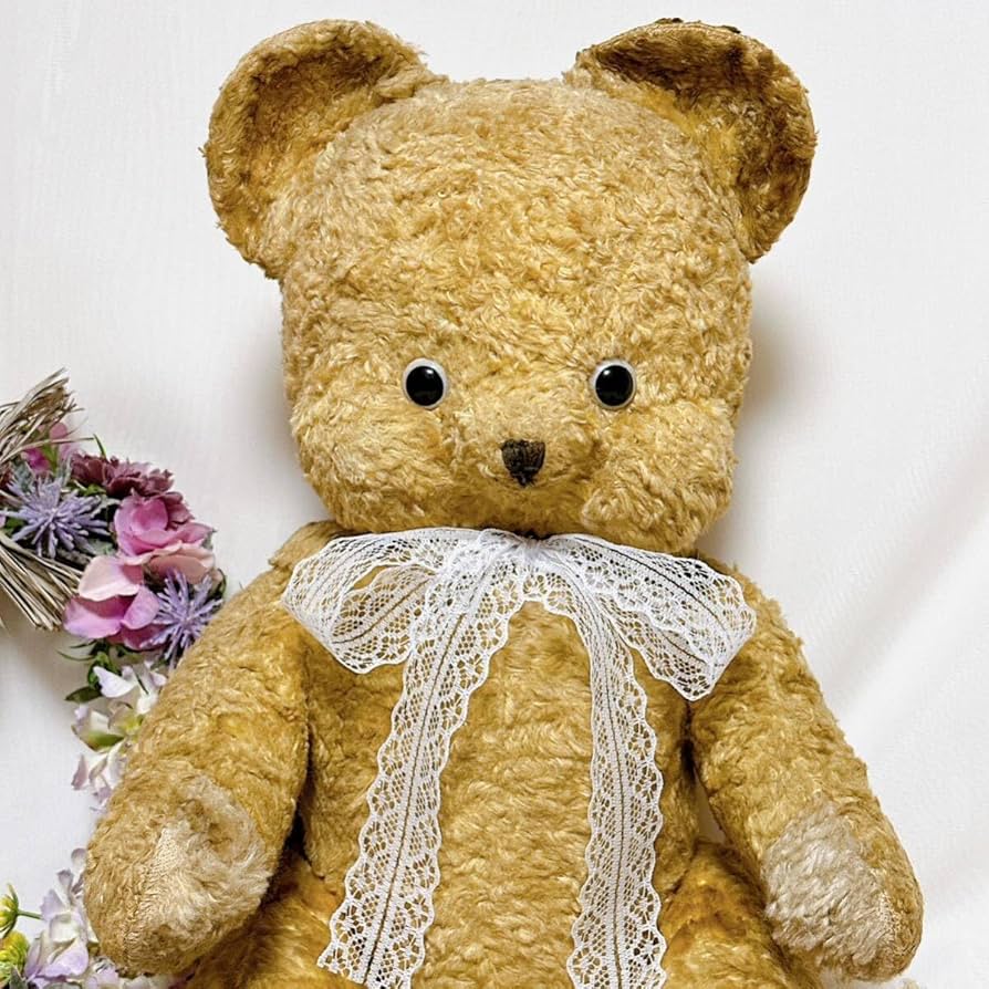 71yV58rYAXL._AC_UF894,