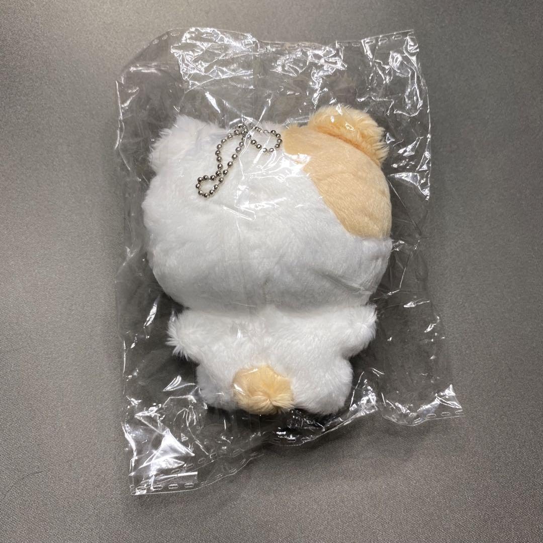 Amazon.co.jp: enhpyen ヒスン ぬいぐるみ 10cm マスター : おもちゃ