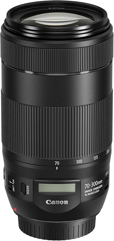 Amazon.com : Canon EF 70-300mm f/4-5.6 IS II USM Lens (Renewed
