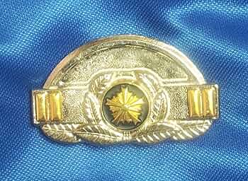 Amazon.co.jp: 警察官 リアル 階級章 レプリカ 巡査長 : おもちゃ