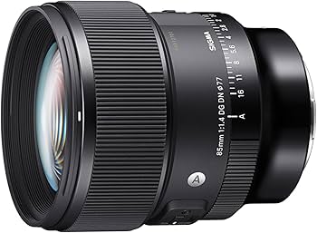 Amazon.com : Sigma 85mm F1.4 DG DN Sony E (322965), Black