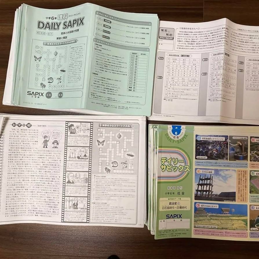 Amazon.co.jp: sapix 6年 デイリーサピックス : 文房具・オフィス用品