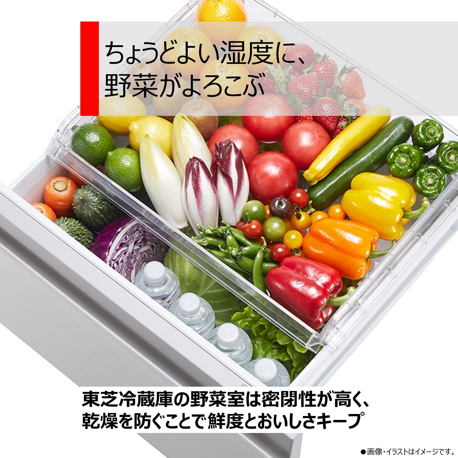 Amazon | TOSHIBA(東芝) 冷蔵庫 幅60.0㎝ 356L GR-V36SV(UC) 3ドア