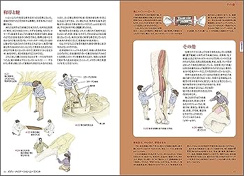 71AQLM04JwS._AC_UF350,